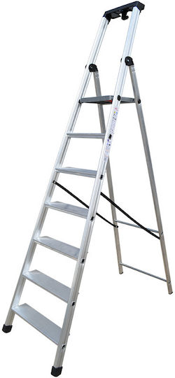 Profal Max110 Ladder Aluminum with 5+1 Steps 212pcs