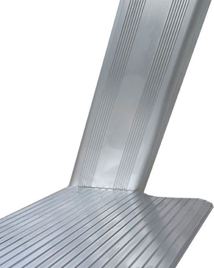 Profal Ladder Aluminum with 8+1 Steps 265cm
