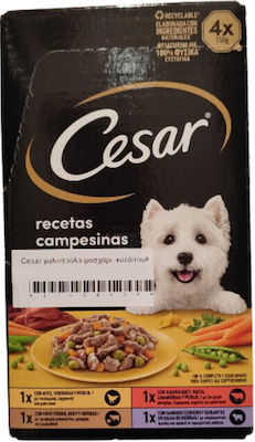 Cesar Multipack Υγρή Τροφή Σκύλου με Αρνί, Γαλοπούλα, Κοτόπουλο και Μοσχάρι σε Ταψάκι 4 x 150γρ.