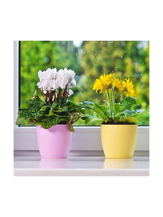 Don-Plast Ghiveci Plastic 25x25x22.9cm.