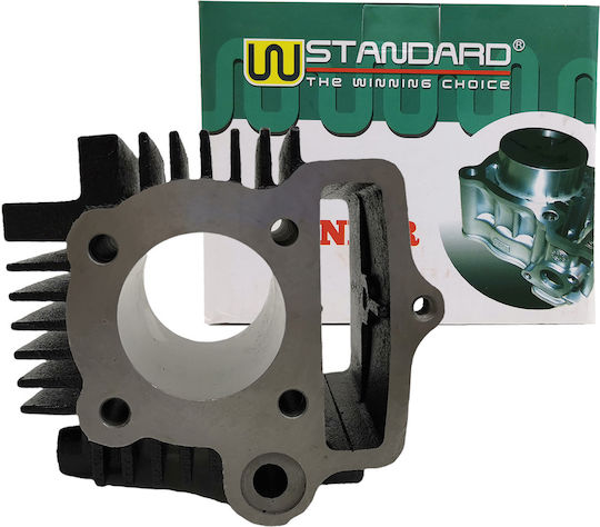 W Standard Motorradmotorzylinder 47mm für Honda GLX