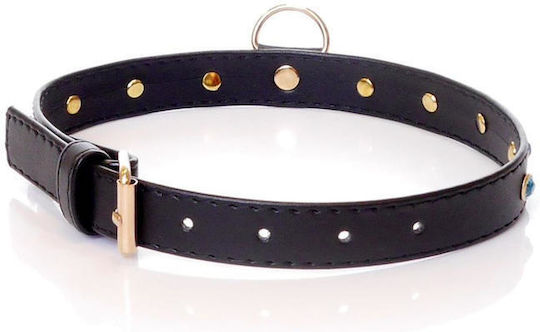 Fetish Addict Halsband in Schwarz Farbe