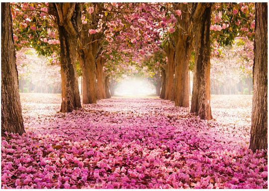 Fototapete Stoff Rosa L400xB280cm 161083509