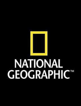 National Geographic Duvet Cover Set Cotton Single with Pillowcase & 1 Sheet 160x200 Lion Brown