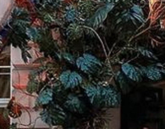 Artificial Foliage in Roll 2x2.5m