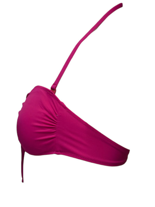 Fuchsie