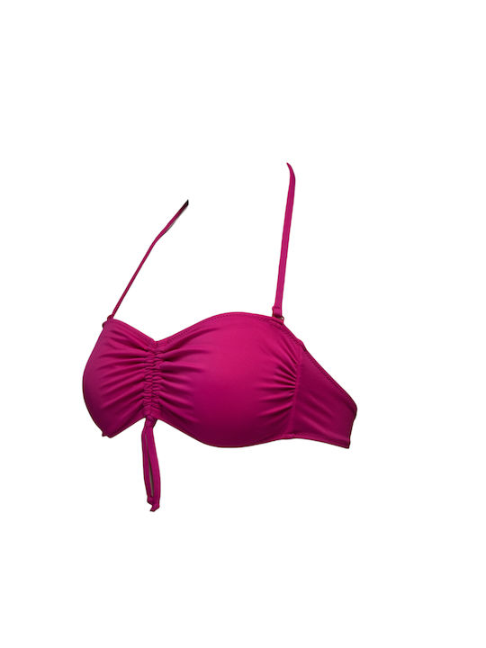 Fuchsie