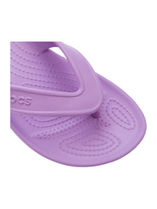 Classic II Flip Flip Flops in Purple Colour