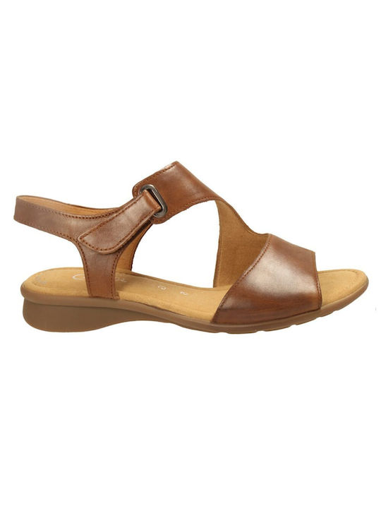 Gabor Women's Flat Sandals Anatomic in Tabac Brown Color