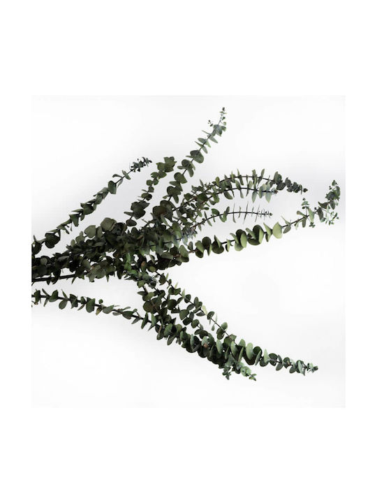 Artificial Plant Eucalyptus Green 50cm 1pcs