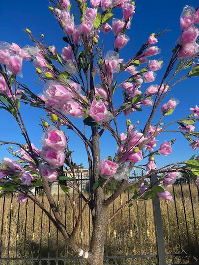 Magnolia Outdoor Tree Pink