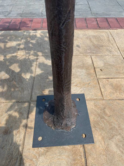 Τριαντάφυλλο Εξωτερικού Χώρου Ροζ 150cm