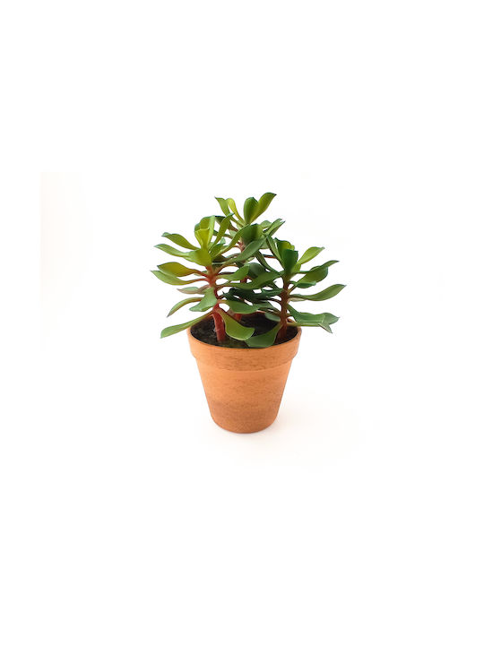 Artificial Plant in Small Pot Succulent Plant 24cm 1pcs