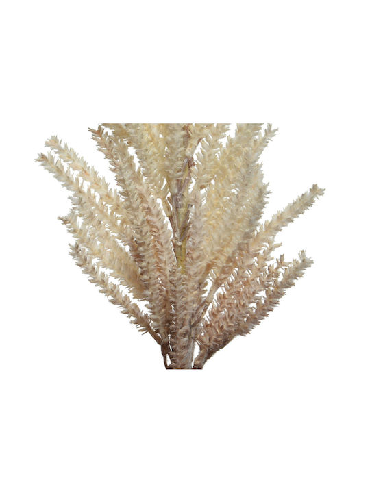 Interni Oggi Artificial Decorative Branch Pampas Grass Beige 13cm 1pcs