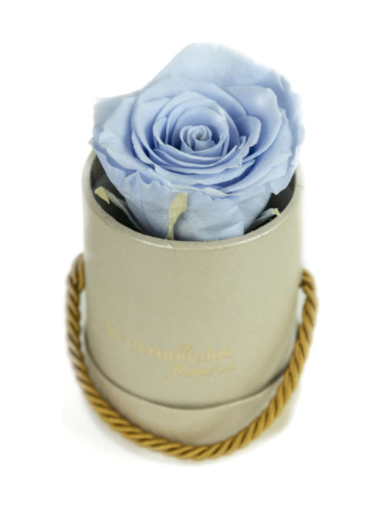 Aleiferopoulos Flowers Eternal Rose Light Blue in Box 1pcs