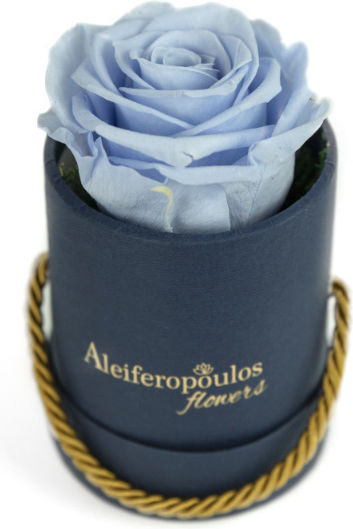 RB15 Aleiferopoulos Flowers RB15 Aleiferopoulos Flowers