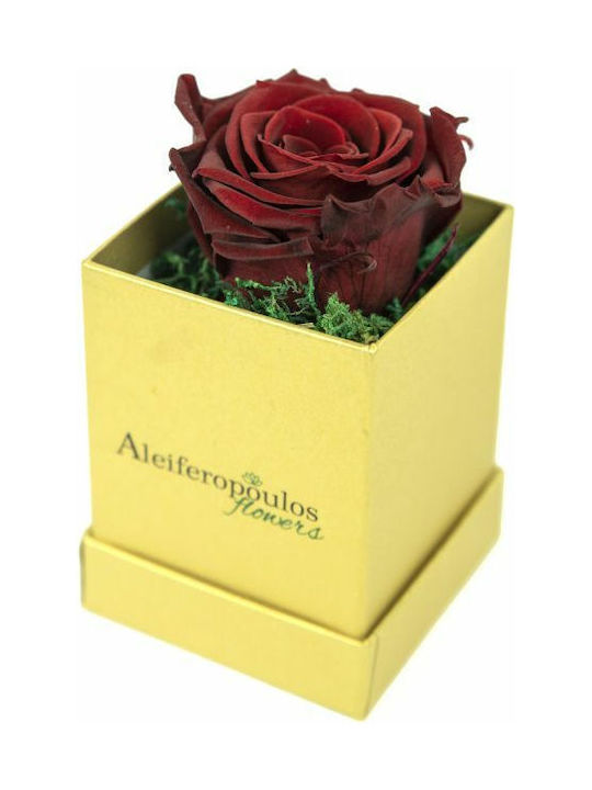 Aleiferopoulos Flowers Eternal Rose Gold in Box 1pcs