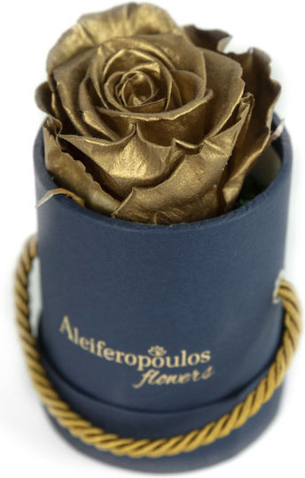 Trandafir Etern Auriu în cutie Aleiferopoulos Flowers