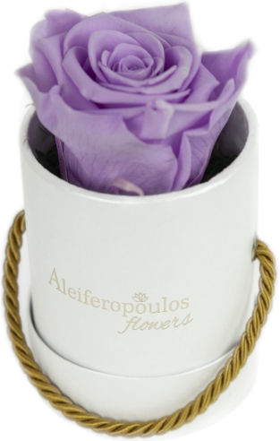 RB14 Aleiferopoulos Flowers RB14 Aleiferopoulos Flowers