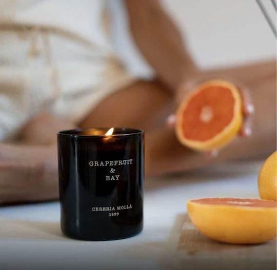 Cereria Molla Aromatische Kerze im Gefäß Grapefruit & Lorbeer