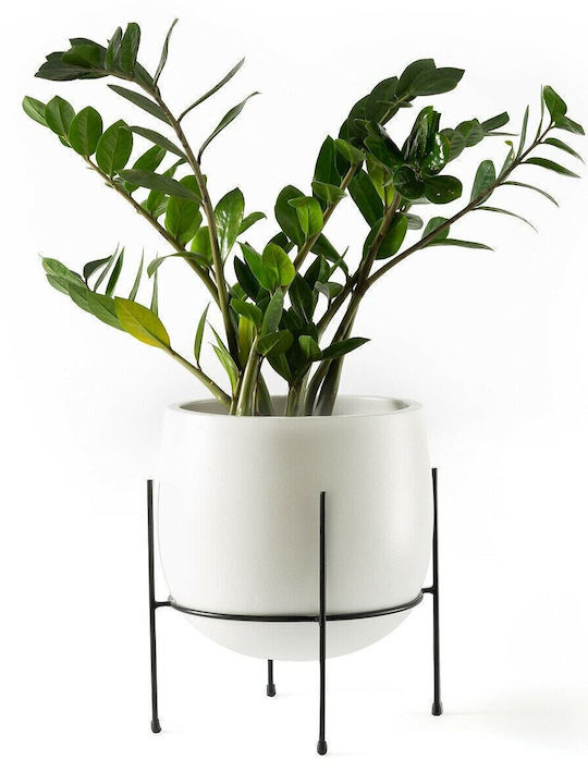 La Redoute Interieurs Ghiveci Ceramică Alb