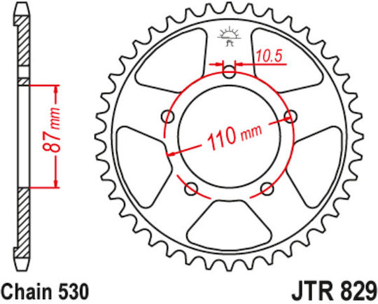 JT Sprockets Hinteres Ritzel für Suzuki GSF 600 Bandit