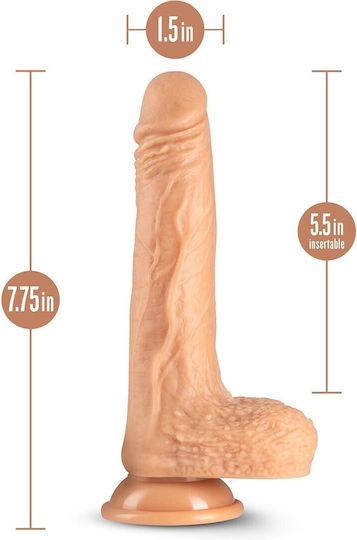 Dr. Skin Dr. Grey Realistic Dildo with Scrotum and Suction Cup Gray 20cm
