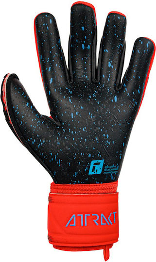 Reusch Attrakt Freegel Mănuși portar Adulți Roșii Fuzion Goaliator
