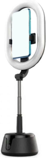 Andowl Ring Light 2900 - 6500K with Mobile Holder