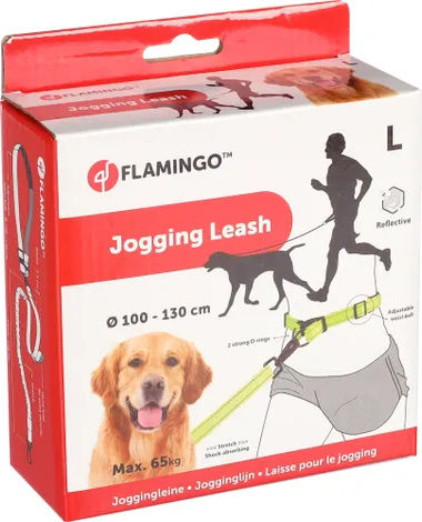 Flamingo Λουρί/Οδηγός Σκύλου Ιμάντας σε Πράσινο χρώμα