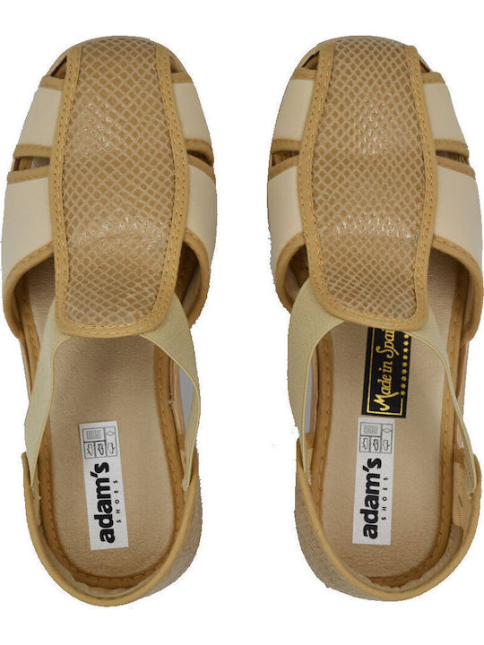 Adam's Shoes