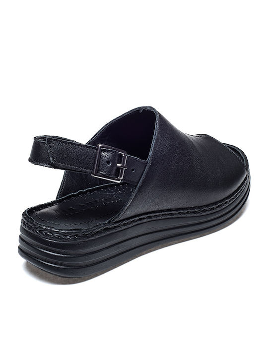 Air Anesis