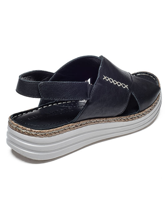 Air Anesis