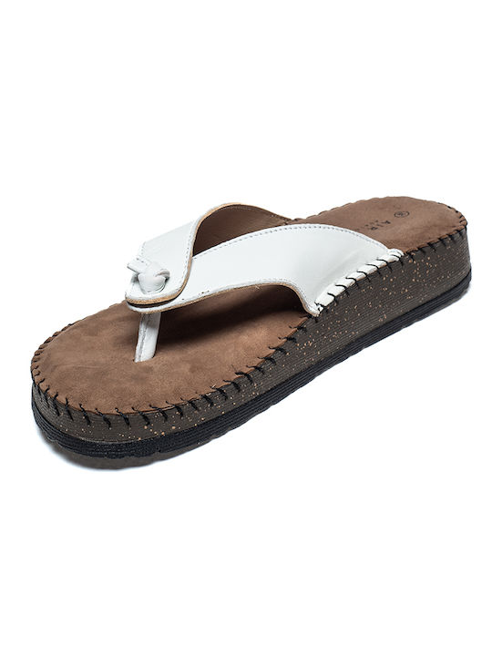 Air Anesis