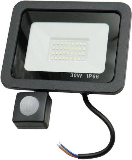 Waterproof LED Floodlight 30W with Motion Sensor IP66