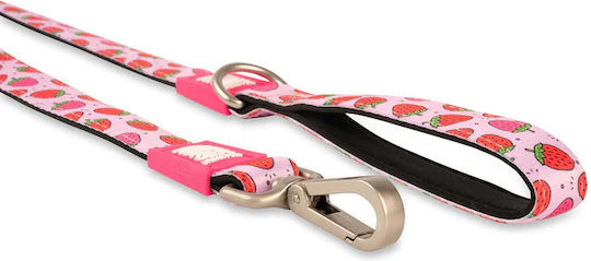 Max & Molly Hundeleine/Führleine Riemen Strawberry Dream in Rosa Farbe 1.2m x 2cm