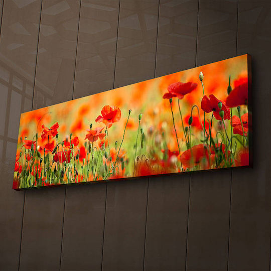 Tablou pe Pânză cu iluminare LED 90x90cm
