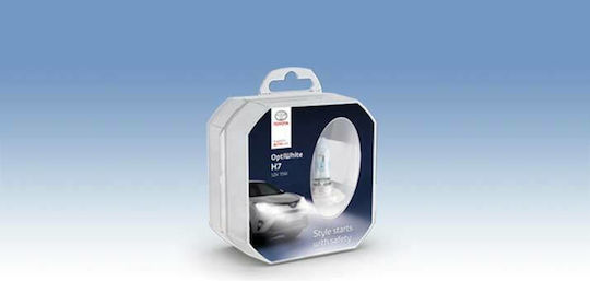 Toyota Lamps Car HB4-9006 Halogen 2pcs