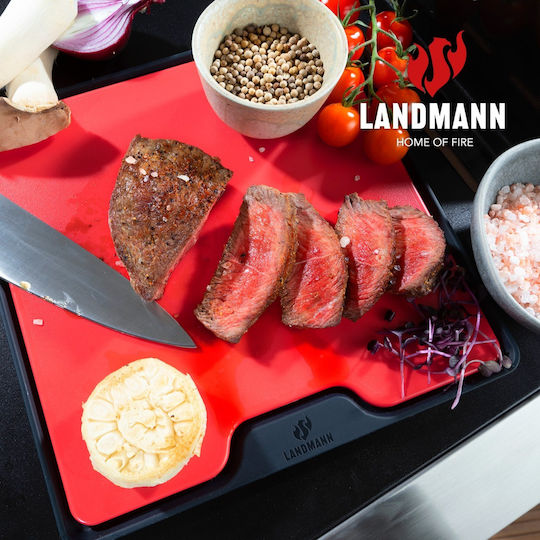 Landmann Schneidebrett Silikon Rot 24.5x24.5cm 1Stück