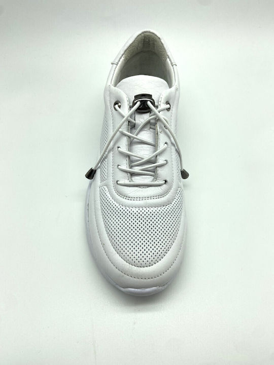 Anatomical Sneakers White