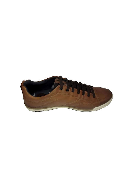 Pegada Herren Sneakers Braun