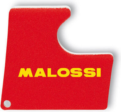Malossi Φίλτρο Αέρα Μοτοσυκλέτας