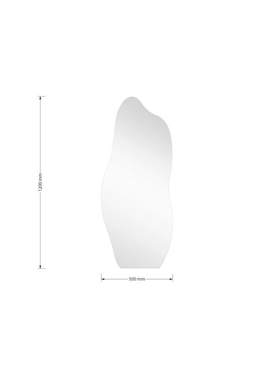 Pakketo Oglindă de Perete De Corp Întreg 120x50cm 1buc