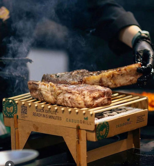 Grill for Camping for One Time Use 32x25x15cm