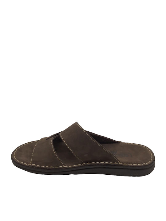 Adam's Shoes