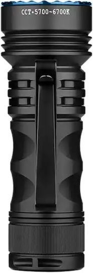 Olight Taschenlampe LED UV Seeker 4 Mini Schwarz
