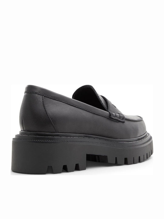 Aldo