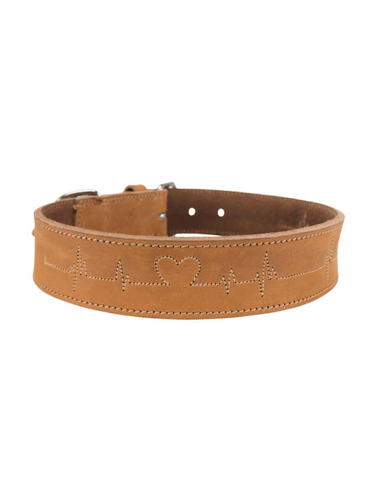 Trixie Cardiogram Dog Collar Leather in Brown color Large / XLarge