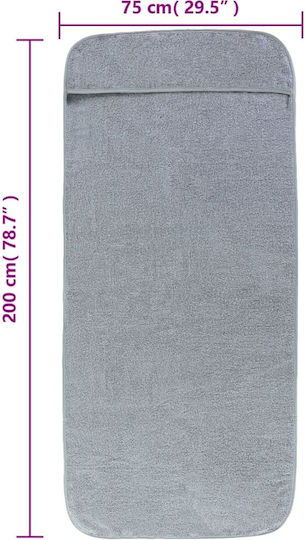 vidaXL Set 2 Hotel Pool and Beach Towels 200x75 cm 400gsm Gray