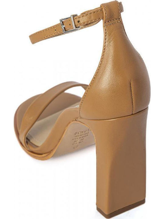 Schutz